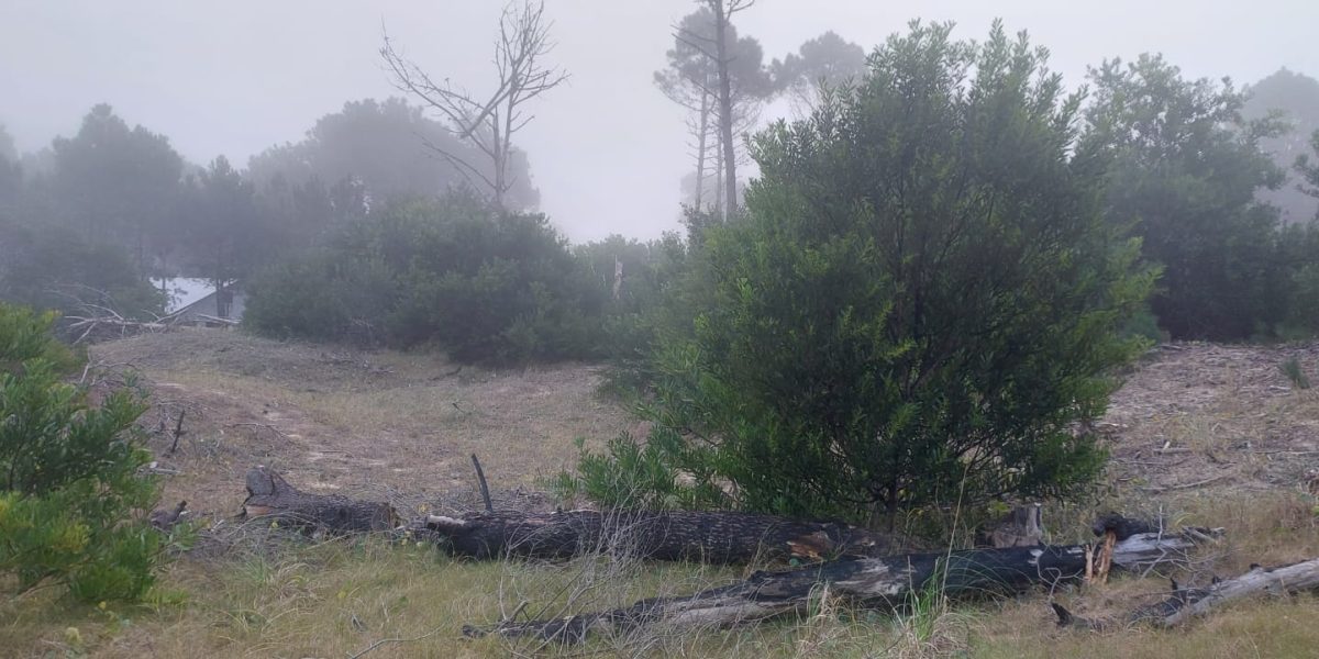 1c86688d-9d1a-461a-8001-260af2e71a30 - copia