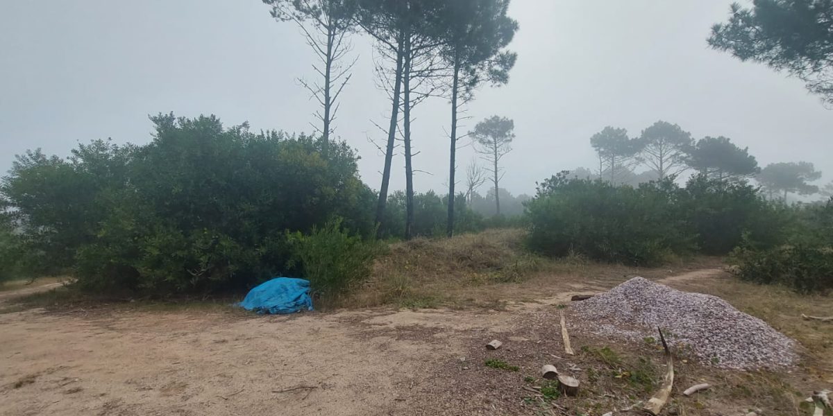 382417b8-bb5b-47a3-9dac-3fa9d7b29e60