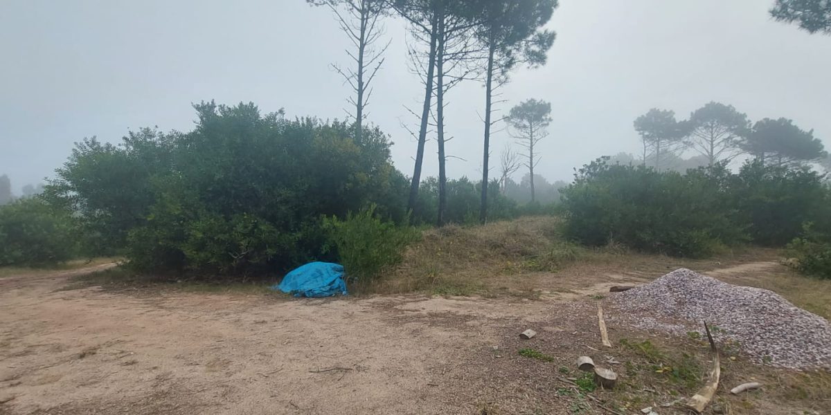 3c816bcf-cc53-42bc-ab59-fd04cca7b2cc