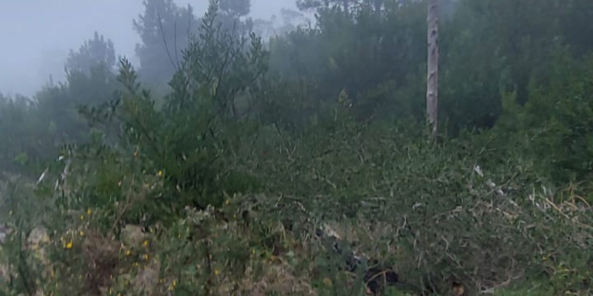 50bed330-dc6b-4a81-bd61-1a34f2ec33b6