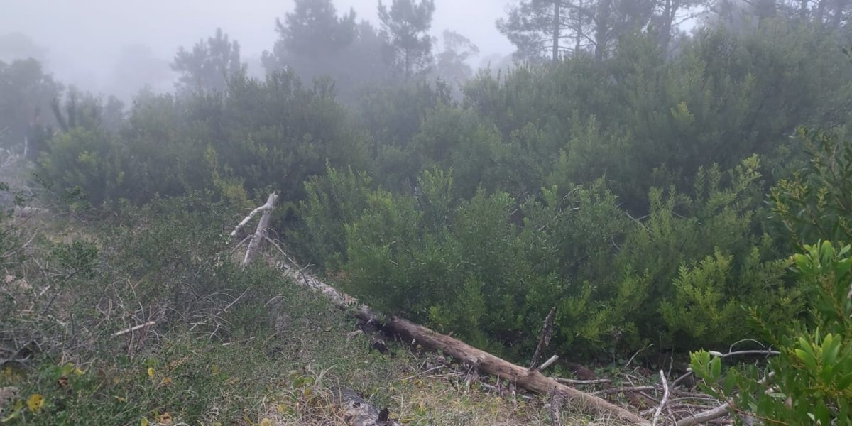 5984e194-0040-40a3-9d52-dff50265fc0d