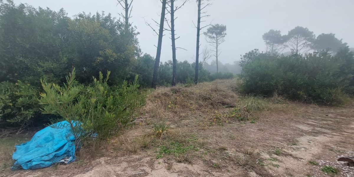 8e11f8d3-ad95-48ff-bff9-8778e3c262e8