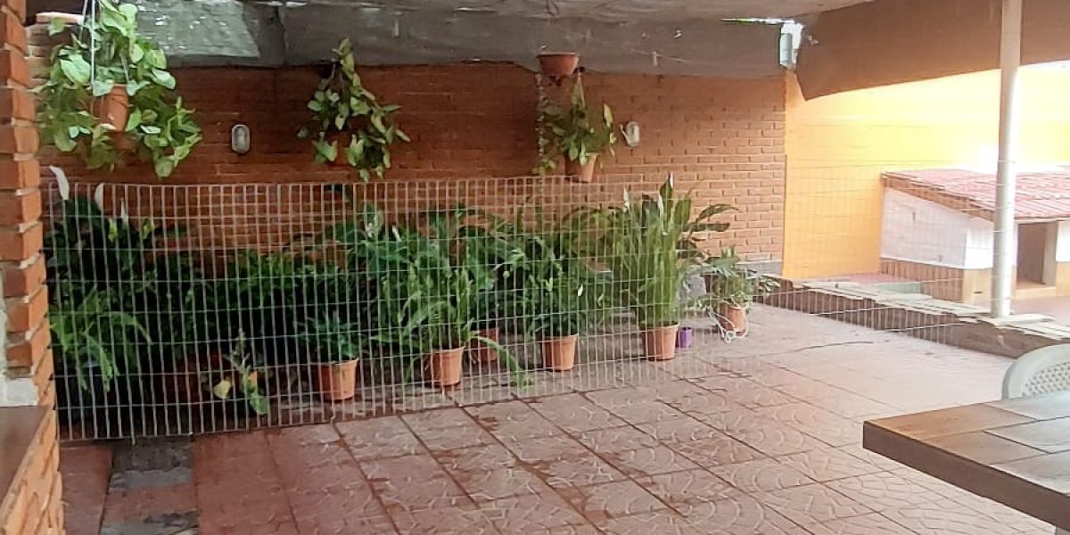 WhatsApp Image 2026-02-09 at 15.31.57 (4)