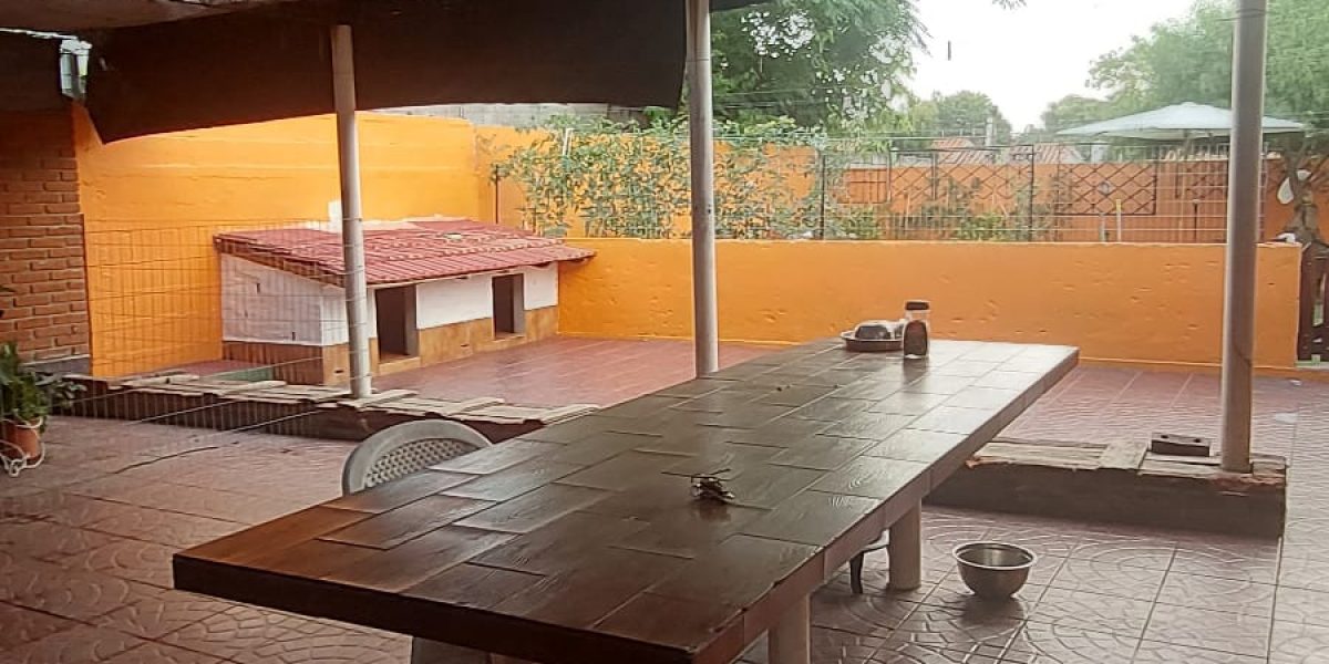 WhatsApp Image 2026-02-09 at 15.31.58