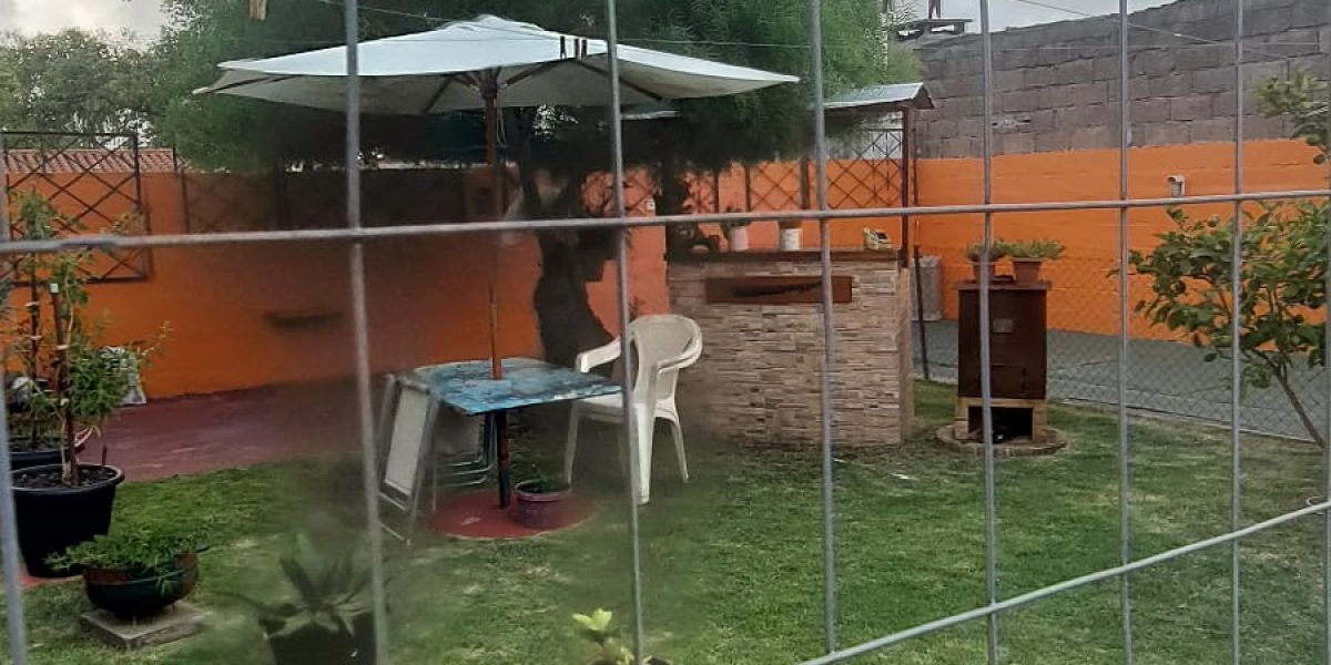 WhatsApp Image 2026-02-09 at 15.31.59 (1)