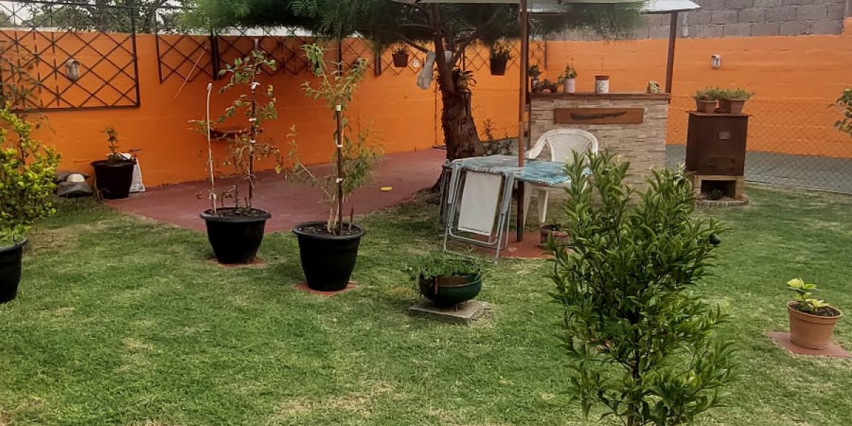 WhatsApp Image 2026-02-09 at 15.31.59 (2)