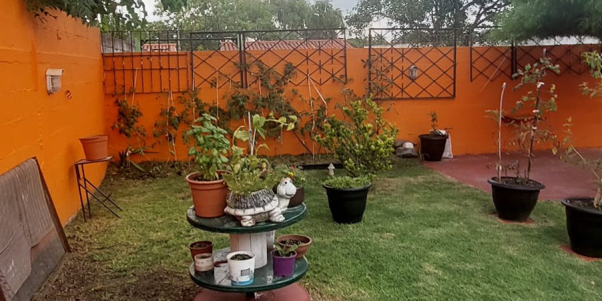 WhatsApp Image 2026-02-09 at 15.31.59 (3)