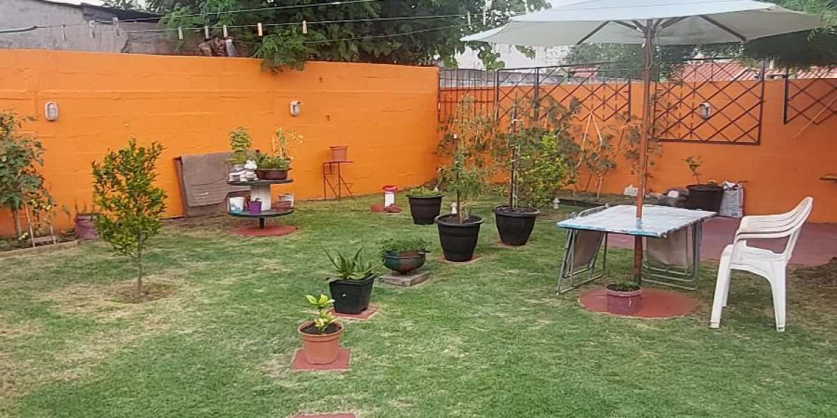 WhatsApp Image 2026-02-09 at 15.31.59