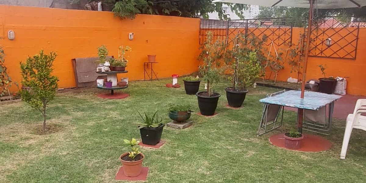 WhatsApp Image 2026-02-09 at 15.32.00