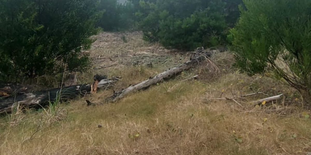 a869f223-b041-4050-85fe-84e5f5ec7ad7