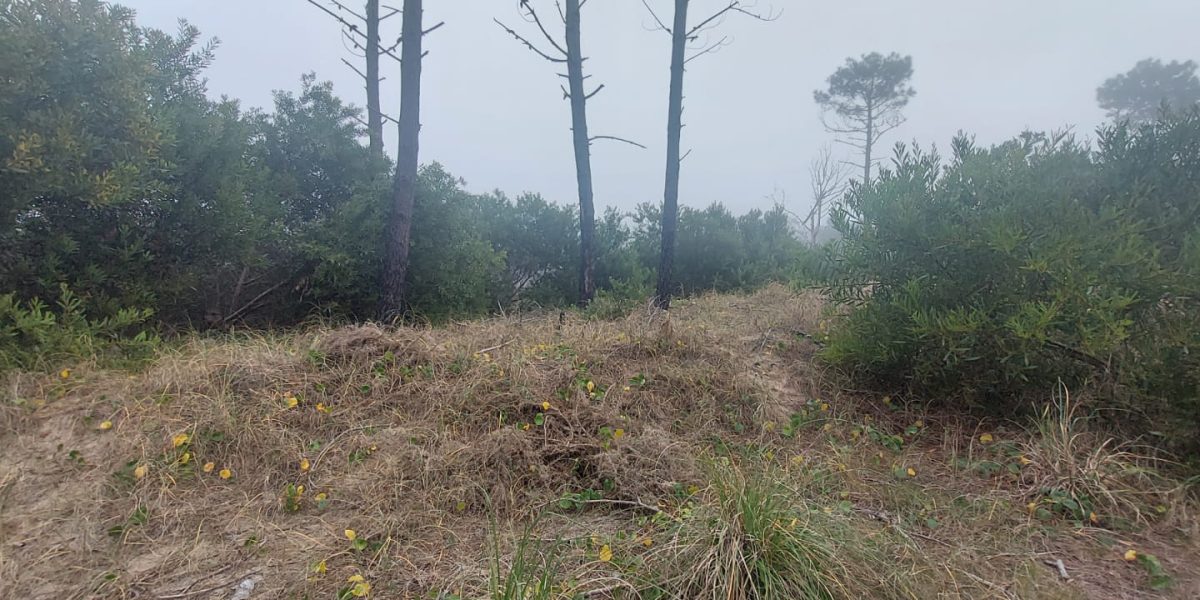 bc99534e-bfcc-422a-9afb-d03706675d9c